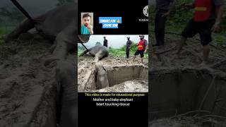 Mother and baby Elephant heart touching rescue from thesun 🙏 shorts [upl. by Dnob]