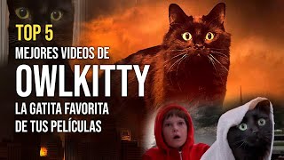 ¿Quién es OWLKITTY TOP 5 de sus MEJORES VIDEOS [upl. by Noreen]