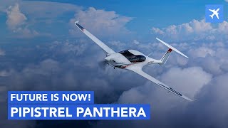 Pipistrel Panthera  Review Specs and Comparison [upl. by Yrol]