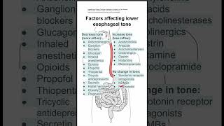 Factors affecting lower esophageal tone [upl. by Weaks]