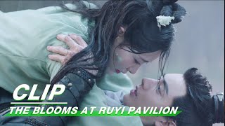 Clip Worst Day Of Their Life  The Blooms At RUYI Pavilion EP15  如意芳霏  iQIYI [upl. by Pascale320]