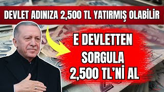 2500 TL ADINIZA TC NİZE DEVLET PARA YATIRMIŞ OLABİLİR BANA CIKMAZ DEME E DEVLETTEN SORGULA [upl. by Ilatfan343]