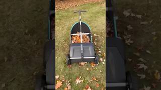 Fall leaf collector fall leaves fall2024 lawn yardwork amazonfinds [upl. by Landrum]