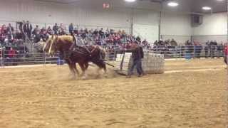 Orangeville Horses Pull 18000 lbs 2013 [upl. by Eirena]