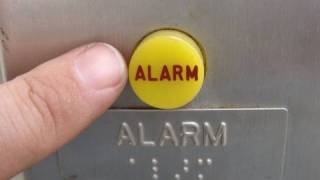 Ringing the elevator Alarm The bell breaks on camera epic fail [upl. by Aliahkim]