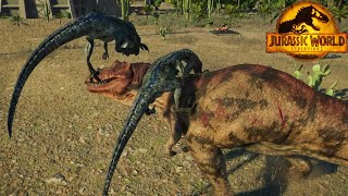 Velociraptor VS Ceratosaurus  Jurassic World Evolution 2  RedFisch [upl. by Lavina]