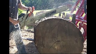 Firewood in the Field Episode 9 Hackberry Chainsaw Day Part 1 [upl. by Carbrey634]