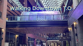 Walking The Well and then Lakeshore Blvd West through Canoe Landing Park in Downtown Toronto [upl. by Halihs]