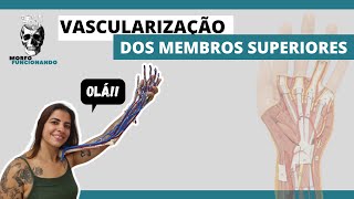 ANATOMIA DAS PRINCIPAIS ARTÃ‰RIAS E VEIAS DOS MEMBROS SUPERIORES MMSS 9 [upl. by Clayson]