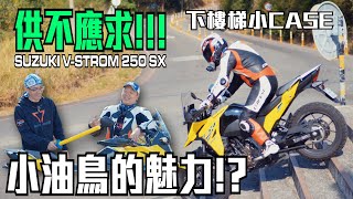 供不應求SUZUKI VSTROM 250SX 小油鳥到底有什麼魅力 [upl. by Stephen]