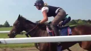 Glorious Goodwood Magnolia Cup training at Tom Dascombes yard [upl. by Edveh]