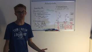 Biochemische Grundlagen 2 Kohlenhydrate [upl. by Anjanette]