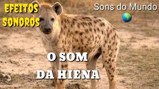 Som de Hiena  Sound of Hyena washingtonarttherapy6592 [upl. by Yanel692]