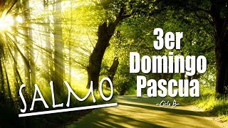 SALMO DEL 3er DOMINGO DE PASCUA  CICLO B  MSP [upl. by Canter]