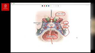 Endocrinology Class  Aspira Education  Dr Jithesh  Mrcp part 1 [upl. by Perrins]