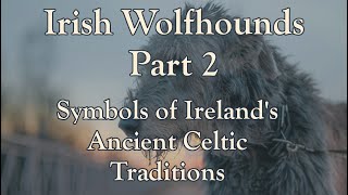 Irish Wolfhounds  Part 2 Symbols of Irelands Ancient Celtic Traditions [upl. by Ridley]