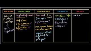 Cephalosporin antibiotic [upl. by Anilatsyrc]