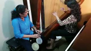 Senorita  Zindagi Na Milega Dobara  Harp  Bongo Duo [upl. by Perkins]