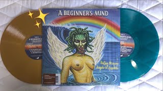 Sufjan Stevens amp Angelo De Augustine  A Begginer’s Mind Vinyl Unboxing [upl. by Reece]