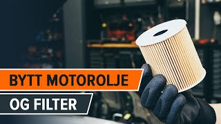 VW  AUDI  SKODA Oljefilter bytte BRUKSANVISNING [upl. by Eiderf]