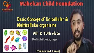 Basic Concept of Unicellular and Multicellular organisms 9th amp 10th class [upl. by Drofniw]