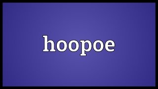 Hoopoe Meaning [upl. by Volotta737]