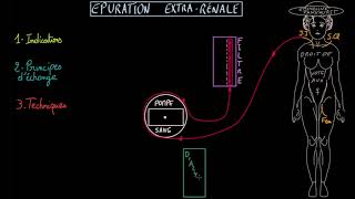 Epuration extra rénale  Dr Synapse [upl. by Powe]