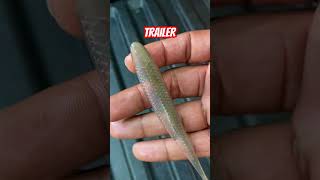 Make your own weedless chatterbait bassfishing youtubeshorts fishinglures [upl. by Kal198]