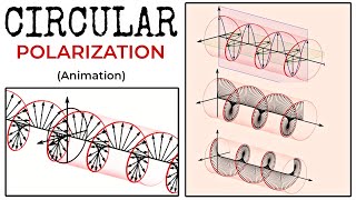 Circular Polarization  Circularly Polarized Electromagnetic Wave Animation [upl. by Clarance894]