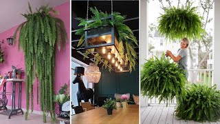 403 Ideas para decorar con la planta HELECHO y como CUIDARLOS [upl. by Allerim]