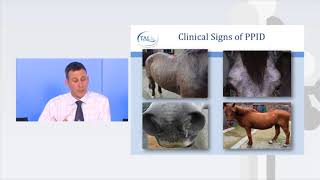 How to spot Equine Cushings disease [upl. by Seamus]