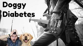 Doggy Diabetes The Official Music Video [upl. by Eeleimaj]