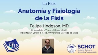 Anatomía y Fisiología de la Fisis [upl. by Ecyak364]