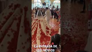 Boda Gitana Entrada de los nivios Barcelona 2024 [upl. by Pedersen493]