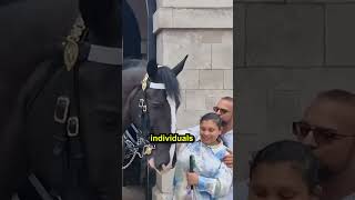 Royal Guard Horses Show Love and Respect royalguards [upl. by Iorio]