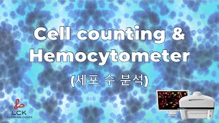 LCK Cell counting amp Hemocytometer 세포 수 분석 [upl. by Rochell]