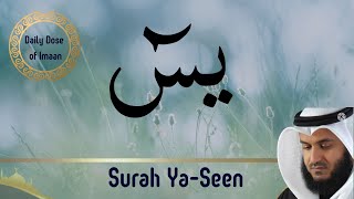 surah yaseen fullflv The Heart of the Holy Quran [upl. by Ocsic590]