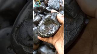 Shaligram sri yoga narsimha shaligram shila  gandaki river shaligram 💐💐shorts short shortsfeed [upl. by Hsina]