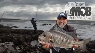 Musselcracker Brusher Fishing in the Southern Cape [upl. by Sikko971]