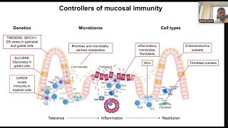 Controllers of mucosal immunity by Dr Ramnik Xavier [upl. by Zondra298]