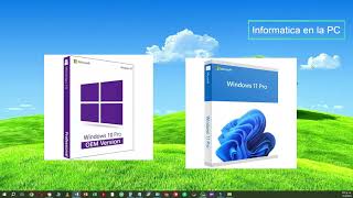 Dónde conseguir Licencia de Windows 10 y 11 PRO Barato  OEM [upl. by Aneehsar]