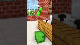 Wotter flip in minecraft [upl. by Onaireves]