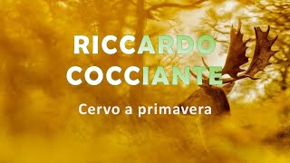 Riccardo Cocciante quotCervo a primaveraquot [upl. by Annaed]