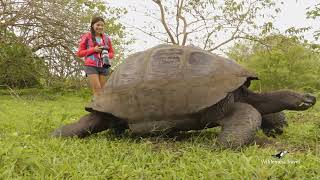 Galápagos Islands Cruise aboard the Passion  Guided Tours [upl. by Andrew]