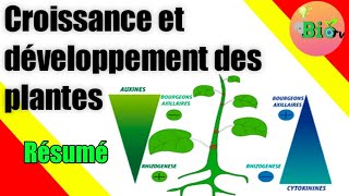 phytohormones petit résumé  croissance et développement des plantes [upl. by Aicena]