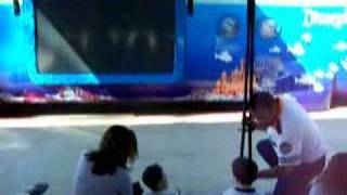 Finding Nemo Dream Mobile Tour in Las Vegas Part 2 [upl. by Nicholl]