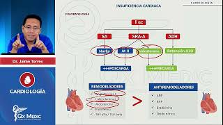 INSUFICIENCIA CARDÍACA CONGESTIVA Repaso ICC [upl. by Ahtar]