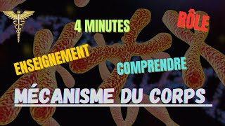 quotExploration fascinante de la physiologie humaine  Comprendre les mécanismes vitaux du corpsquot [upl. by Marcelia]