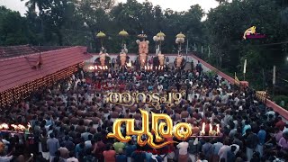 1442nd Arattupuzha Pooram 2024  23rd March 2024  Pranathosmi [upl. by Neilla]