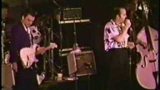 The Fabulous Thunderbirds  Fulltime Lover [upl. by Shelburne]